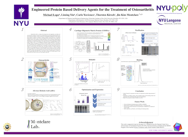 MLupo_poster_20131026